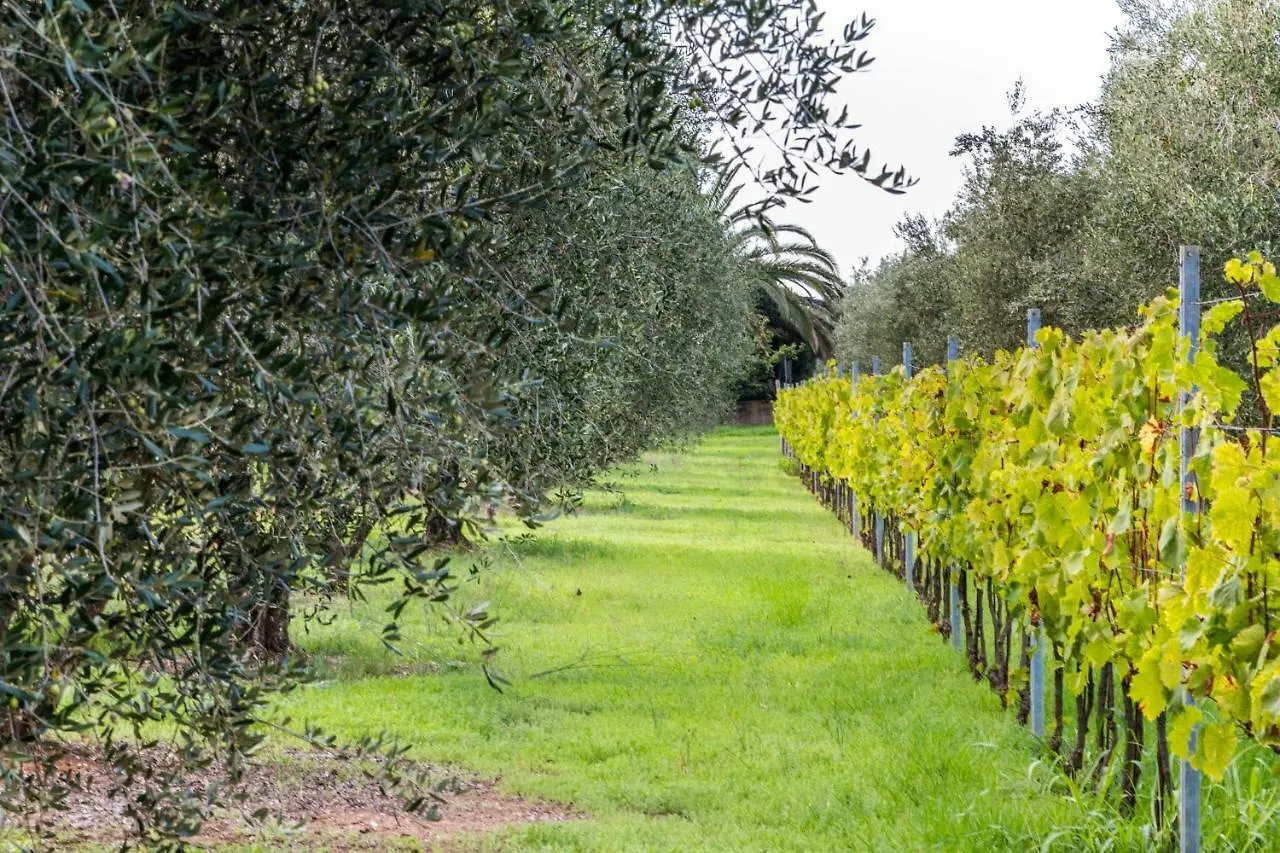 פולוניקה Agriturismo Villa Isa איטליה